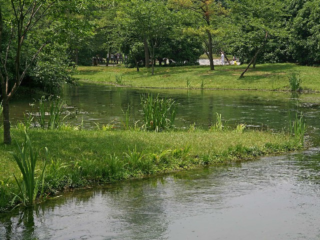 商家京东白条_支付宝花呗不能套了吗