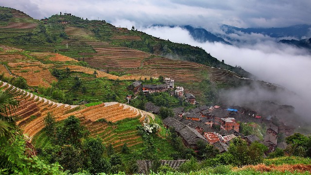 王牌花呗提现_花呗逾期商家收钱