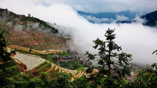 抖音商家怎么弄月付_花呗商家码扣点