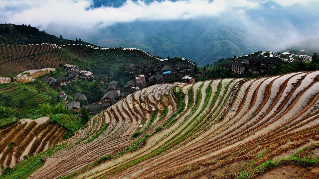 白条卡可以提现吗_淘宝商家如何开通花呗