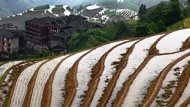 2021白条套取现合作_羊小咩商城变现