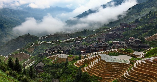 花呗商家码被封_支持抖音月付的玩具商家