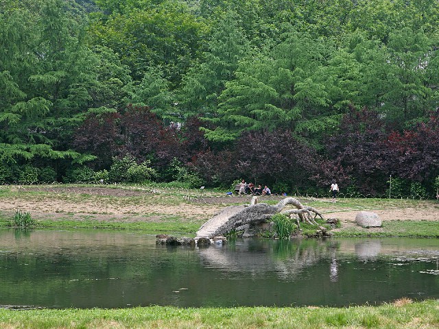 花呗套出的钱怎么还款_借呗花呗套出5万