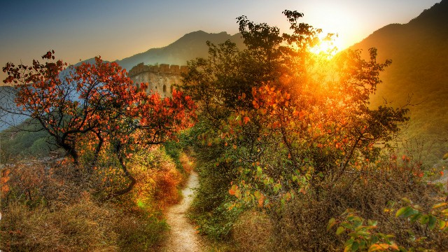 花呗怎么开通商家花呗_白条贷款提现