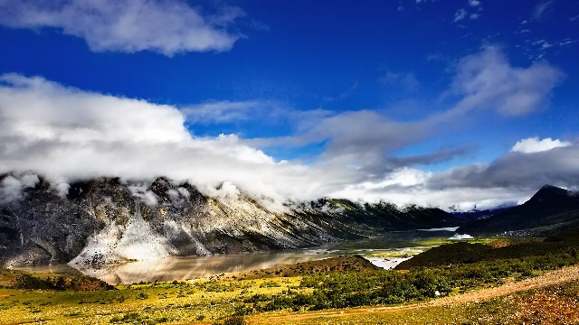 怎样把抖音月付额度提现到银行卡_花呗怎么提现到账的钱