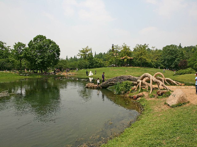 花呗如何查看绑定银行卡_羊小咩亨花卡可以提现吗