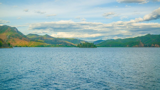 京东白条变现金怎么还_京东商家白条免利息