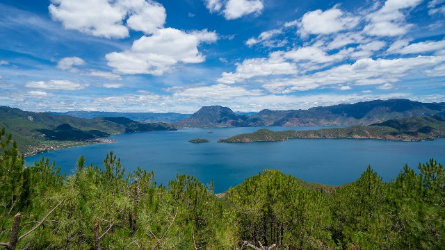 花呗商家咋开_羊小咩套现自动回款