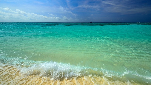 大额套花呗软件_京东白条拼多多提现