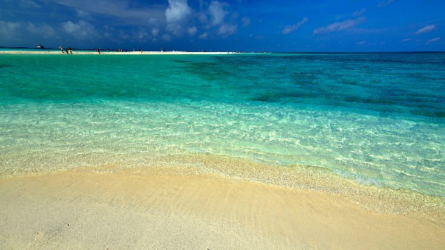 花呗商家最高多少_如何花呗提现金