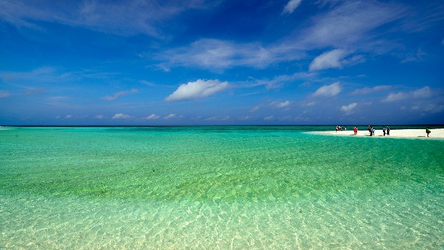 套2万花呗多少手续费_为什么商家不能花呗支付