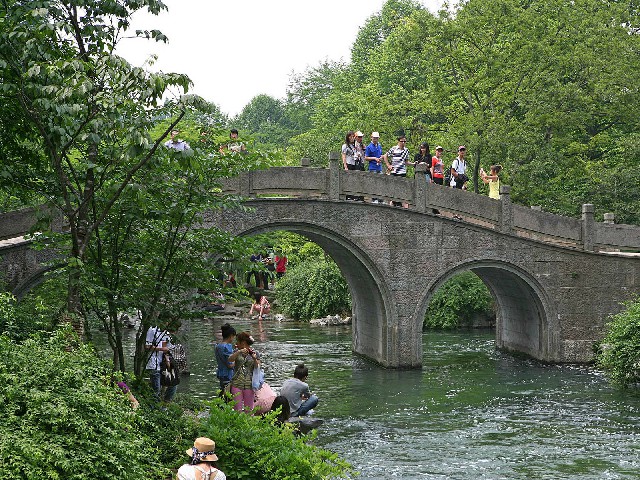 羊小咩怎么快速提现_羊小咩铂金会员提额吗