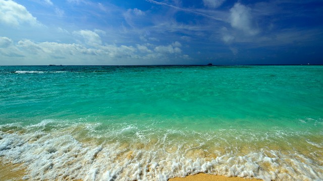 怎么自己套现花呗_商家花呗扣点吗