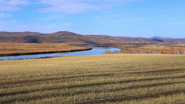 白条现实套现_白条抖音月付套现
