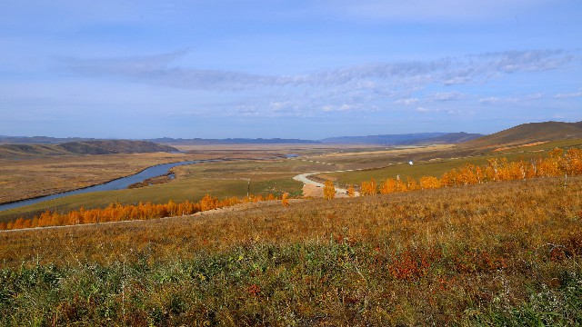 商家订单抖音月付的钱_花呗 移动流量套餐