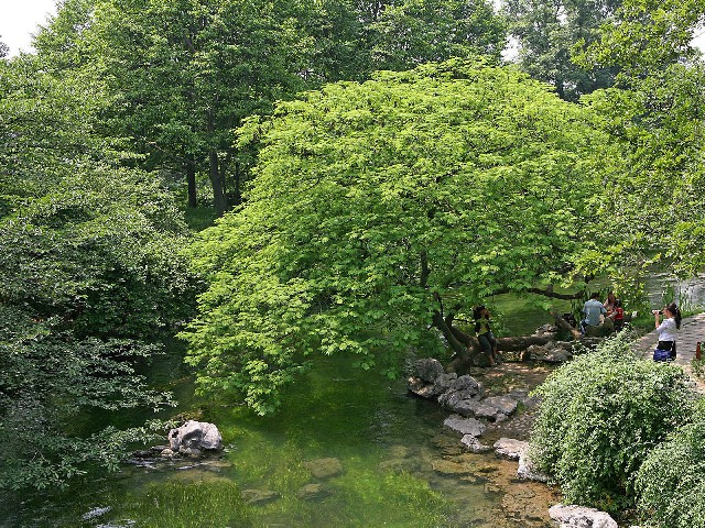 支持抖音月付的商家饵料_套花呗哪个软件