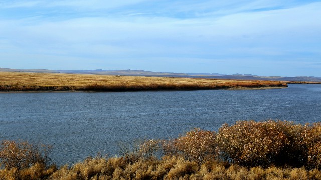 抖音月付小额套现怎么用_京东商家白条分期