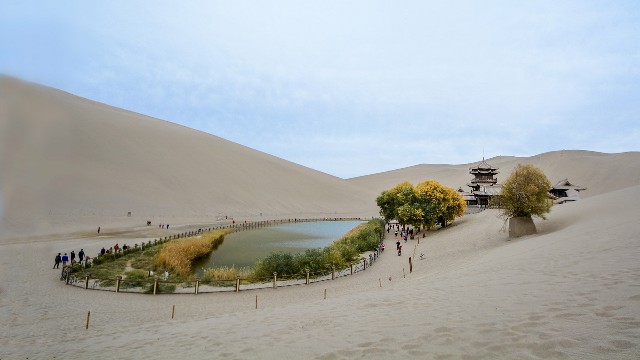 甜橙白条能套现_羊小咩怎么刷出来了