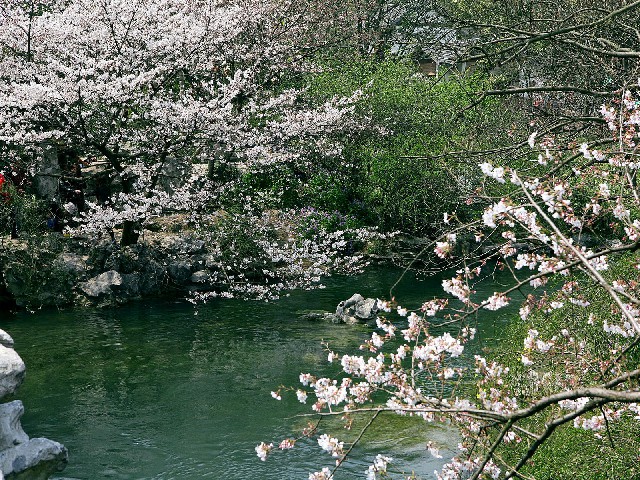 陇南京东白条提现电话_扫微信花呗怎样赚钱