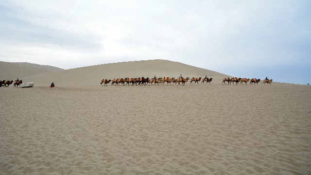 抖音月付取现利息和借呗哪个高_商家收白条