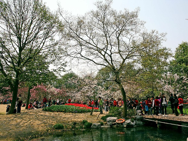 花呗分期春节套_羊小咩便荔卡包如何套出来