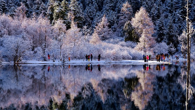 微信亲情卡可以还花呗吗_卡密支持抖音月付的商家