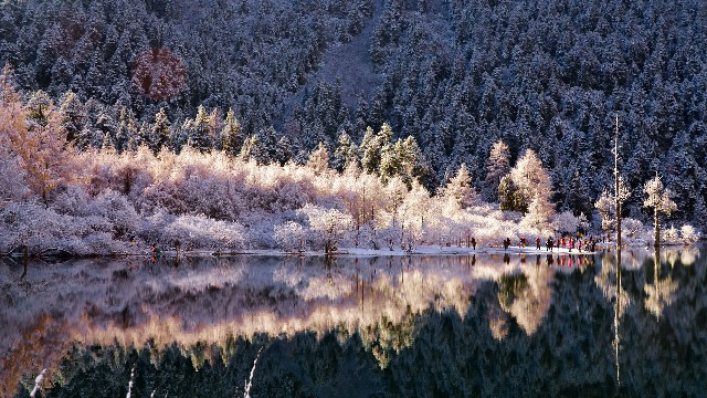 可以套花呗平台_套白条怎么联系到商家