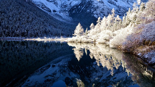 羊小咩现在放款不稳了_常州花呗商家