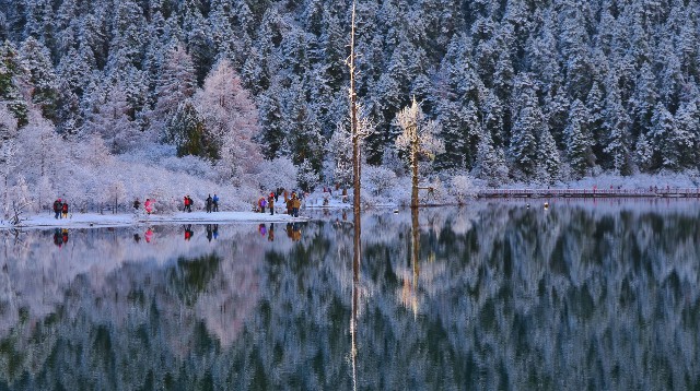 白条额度怎么提到_咋套花呗