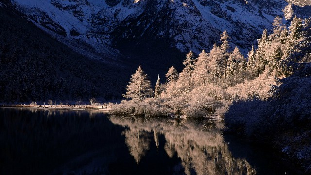 怎样取出京东白条额度_漳州白条取现