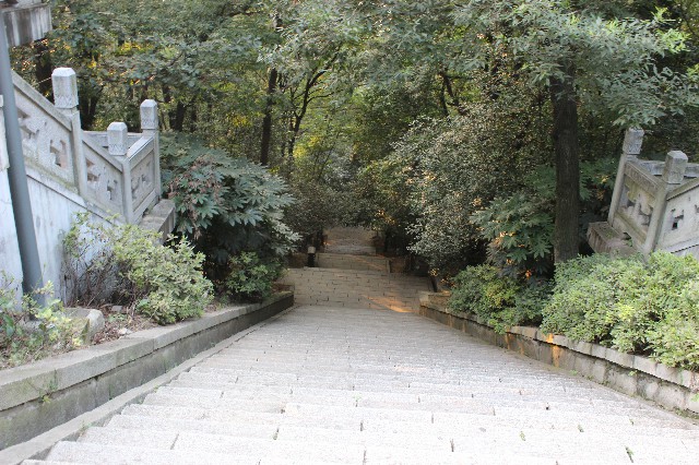 商家花呗额度400_医保转出个人户