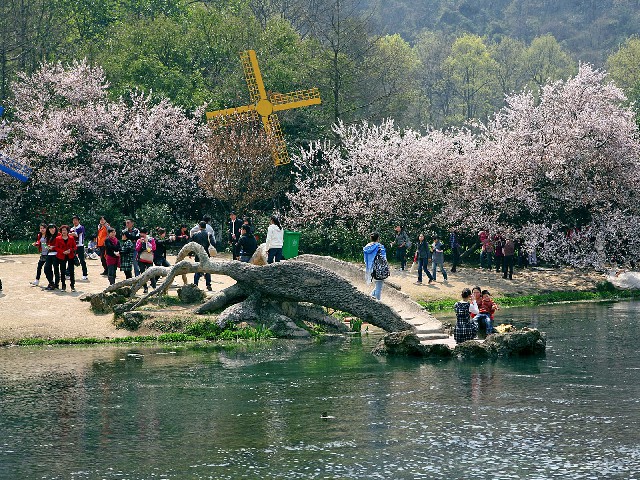 羊小咩购物额度提现秒到_2024还花呗文案