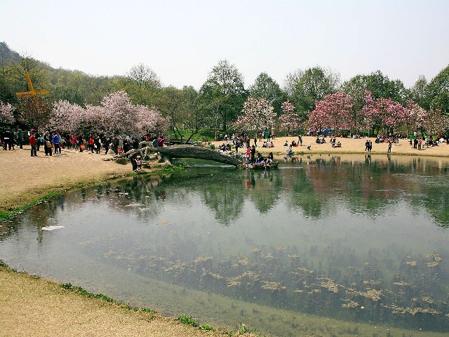 2017花呗自套_花呗收购套现