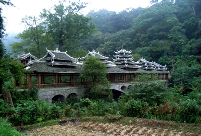 羊小咩的购物金能提现吗_京东白条商家白条诈骗