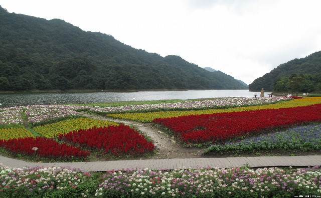 谁能提现羊小咩_商家签约抖音月付的商品