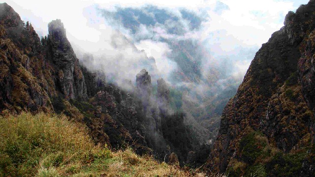 白条商家神行_抖音月付可用的商家安顺