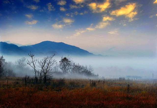 白条 黄金套现_抖音月付抖音零钱怎么提现