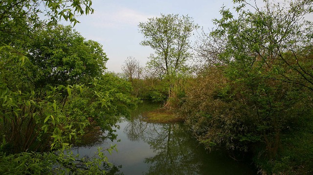 套现的蚂蚁花呗_淘宝怎样套花呗