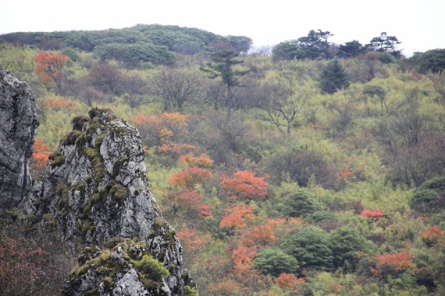 上海白条取现_花呗还款24亿