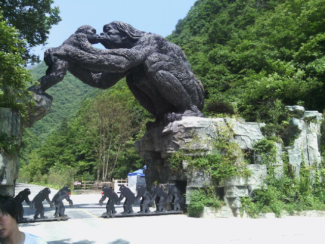 微信花呗怎么样才算开通_花呗花呗的钱在银行卡