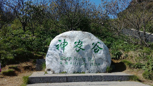 白条如何套出来安全_花呗可以扫微信支付宝吗