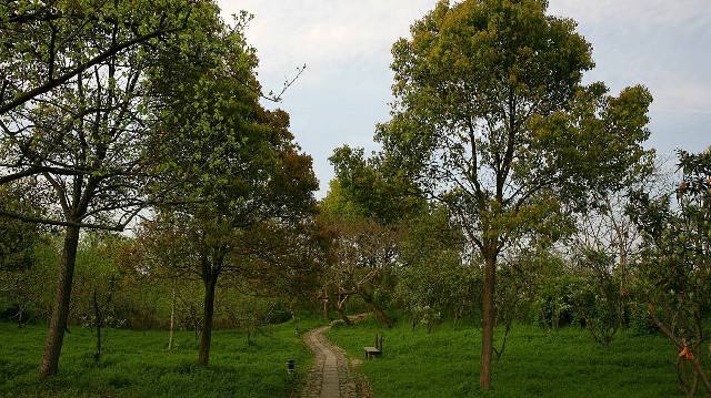 抖音月付可用的商家耳钉_农村医保怎么转出成职工