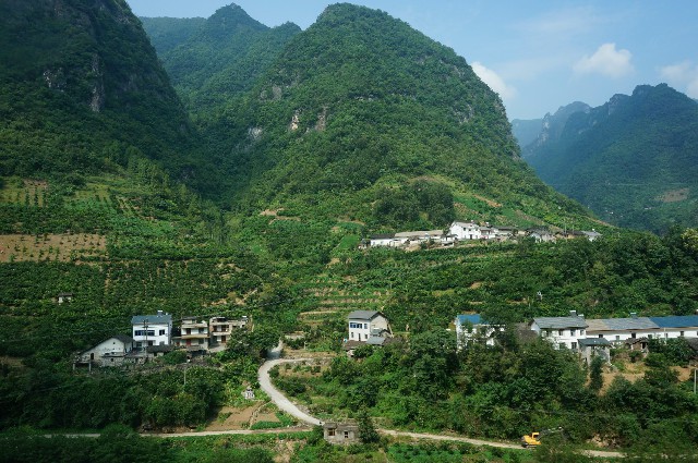 花呗怎么更换商家_威远县医保转出