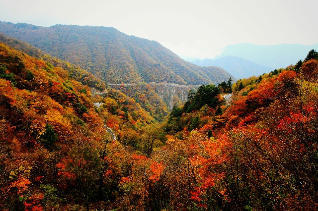 株洲医保卡套现_聊城套现白条