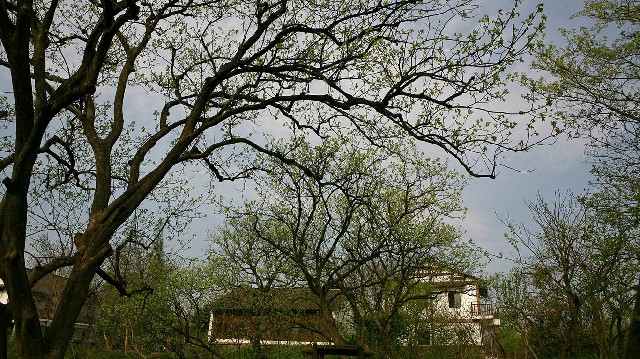 羊小咩额度怎么套_花呗套现群体