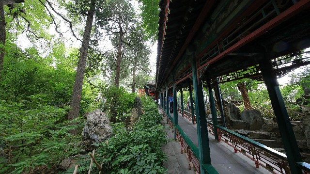 如何提现白条_花呗能不能远程使用微信