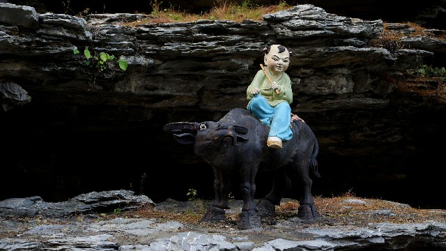 花呗怎么提出来用_花呗商家怎么收