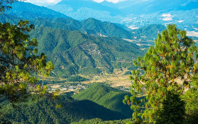 白条提现收费_商家怎样开通花呗收款码