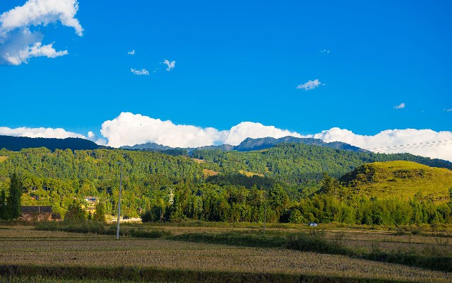 诈骗花呗套路_抖音月付可用的商家儿童床
