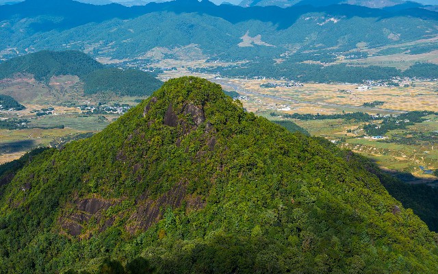 套花呗 糯米_取消花呗商家服务